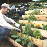 Small Footprint, Big Yield: Create an Easy Micro Organic Urban Garden Today!