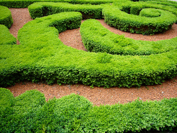 topiary_paris
