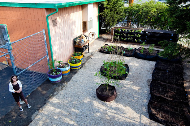 santa_monica_charter_school_edible_garden