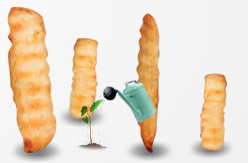 shake_shack_fries shake_shack_fries