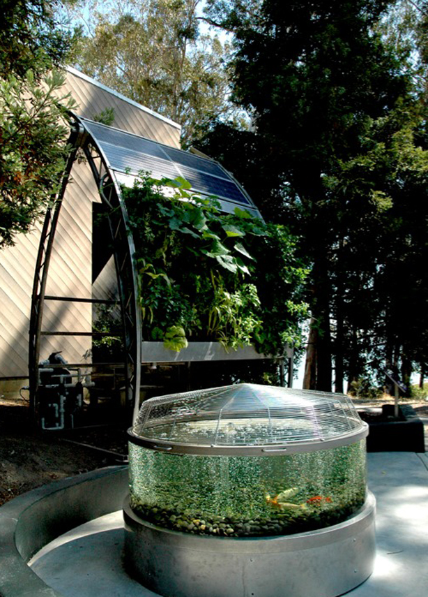 Vertical Aquaponic Gardening Takes Shape - Urban Gardens