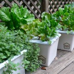 An Urban Micro Farm Delivered to Your Door