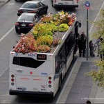 Gardens Flourish on Top of City Busses
