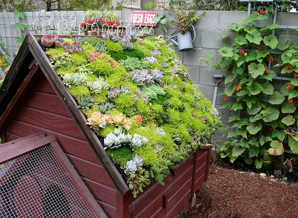 Garden Up! Take Your Landcape to the Next Level - Urban Gardens