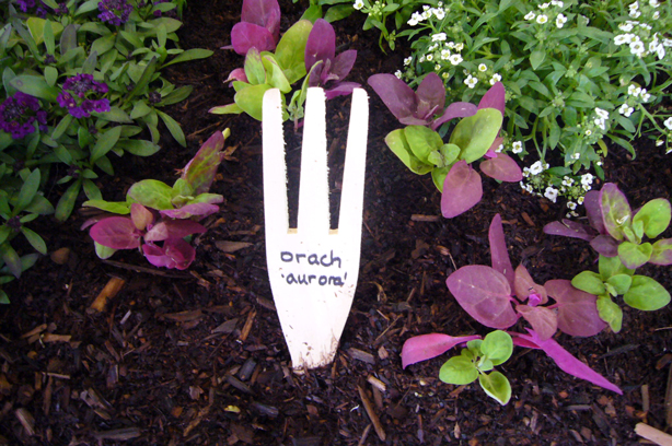 sunset-magazine-edible-garden-fork-marker