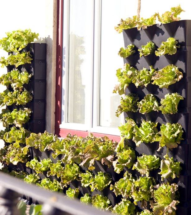 Mini Vertical Garden for Balcony, Patio, or Kitchen - Urban Gardens