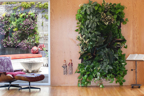 Five Easy Steps for Creating an Indoor/Outdoor Vertical Garden or Green Wall  Urban Gardens