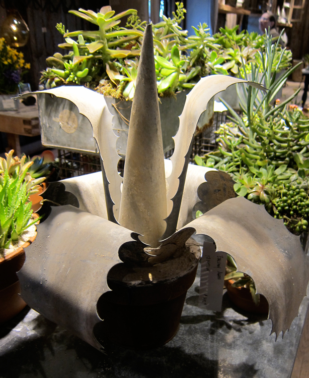 balcony-agave-terrain