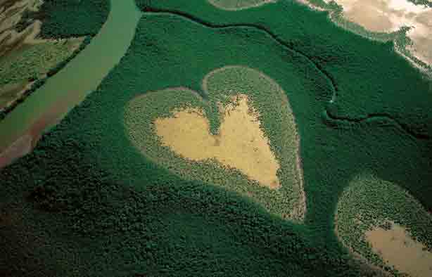 Heart-Shaped-Mangrove-Voh-New-Caledonia