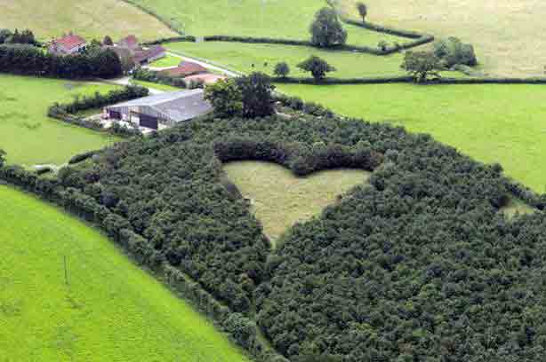 The+giant+heart+formed+with+6000+oak+trees+which+Winston+Howes+planted+in+memory+of+his+late+wife+Janet