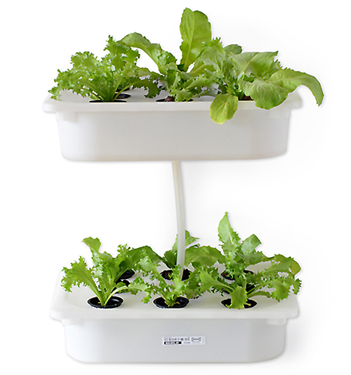 How to Build Indoor Hydroponic Gardens Using IKEA Storage Boxes ...