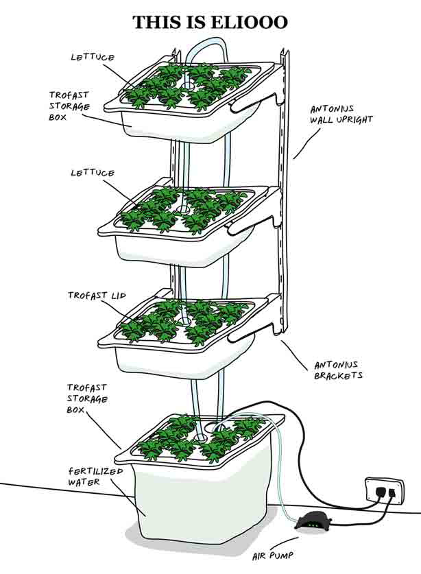 a way to build a hydroponic % gadget