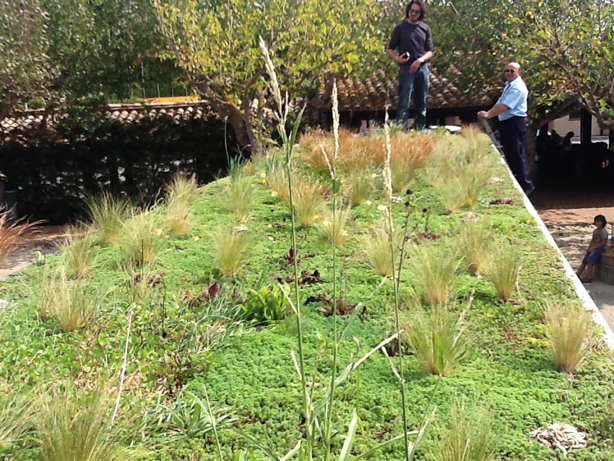 phytokinetic-bus-roof-planted-urbangardensweb