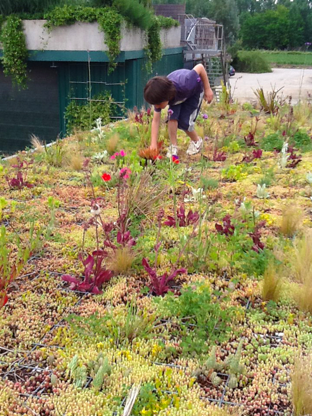 phytokinetic-child-on-roof-urbangardensweb