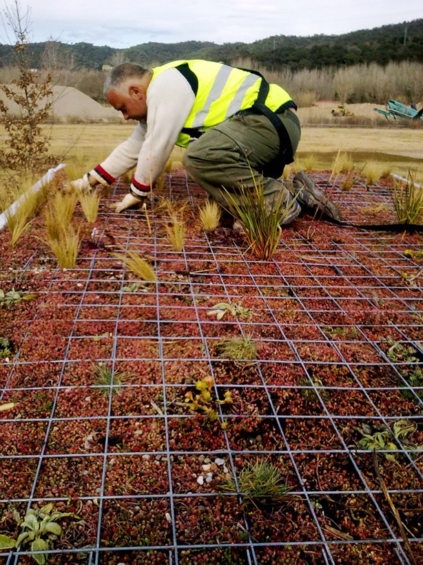 phytokinetic-planting-roof