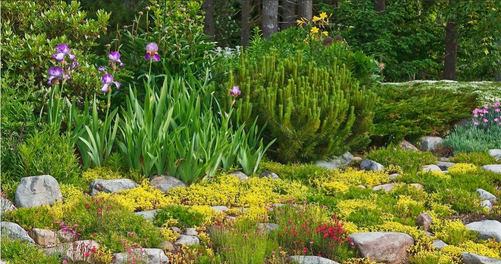 USe a rockery to add texture to your garden.