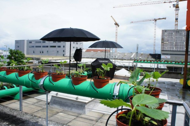 One Aquaponic Rooftop Farm to Go Please