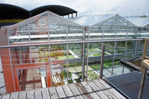 ... gardens abundant, Urban Farmers in Basel, Switzerland have designed