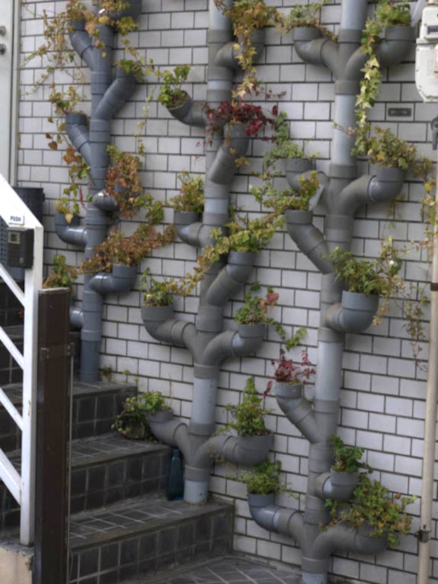 Climbing Up: 10 Innovative Vertical Garden Ideas - Urban Gardens