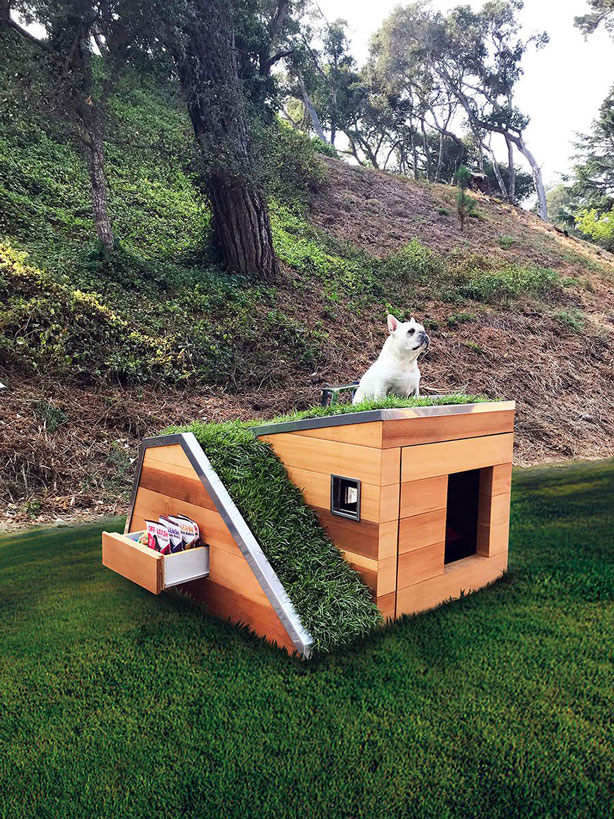 Contemporary dog house cheap