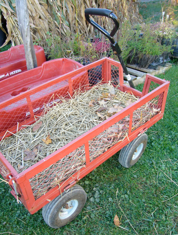 wagon_hay wagon_hay