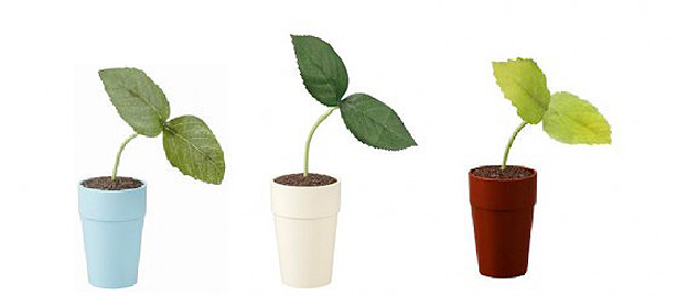 pekoppa_colors pekoppa_colors