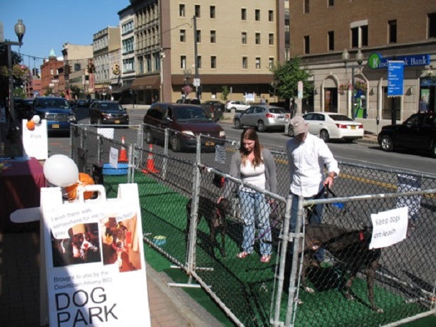 dog park
