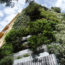 green-side-wall-jardi-tarradellas-barcelona-facade-looking-up-urbangardensweb