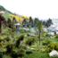 dodger-stadium_japanese_garden