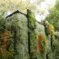 airplantman-solar-panel-green-wall-enclosure-urbangardensweb