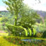 fab_tree_hab
