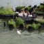 people enjoying floating park in Rotterdam made entirely of recycled plastic