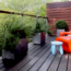 modern-urban-garden-terrace-with-planters