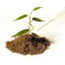 plant_doc_small